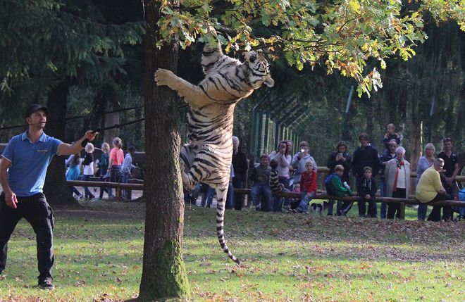 Filmtierpark Eschede